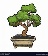 Image result for Bonsai Tree Drawings Pencil