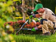 Image result for Landscaping Company Name Ideas