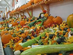 Image result for Fall Harvest Coloring Pages Printable