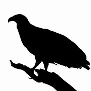 Image result for Bird On a Branch Silohette