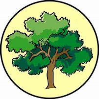 Image result for Kinds of Oak Trees