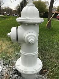 Image result for White Fire Hydrant