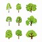 Image result for Willow Tree Branch Illustration