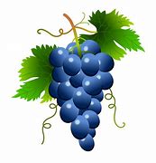 Image result for Grape Leaf PNG