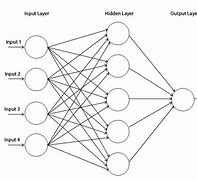 Image result for Neural Network in Human Brain Image