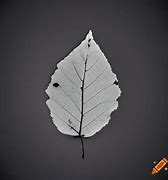 Image result for Aspen Leaf Limb Silhouette