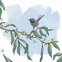 Image result for Red Bird and Tree Branch Illustration