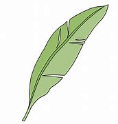 Image result for Simple Palm Leaf Drawing X