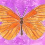 Image result for Sugar Skull Butterfly Coloring Pages