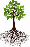 Image result for Clip Art of Roots