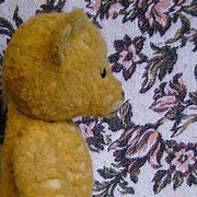 Image result for David Dickinson Teddy Bear