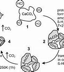 Image result for Carbonic Acid