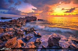 Image result for Coral and Rocks