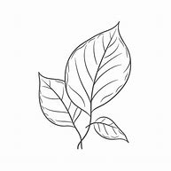 Image result for Coloring Picture of Leaf