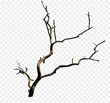 Image result for Large Tree with Branches