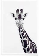 Image result for Giraffe Poster