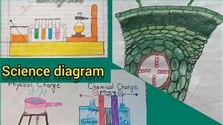 Image result for Life Science Diagrams