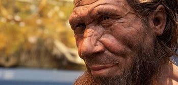 Image result for Neanderthal Bust Model