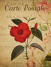 Image result for Vintage Flower Decals