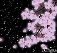 Image result for SVG Cherry Blossom Tree Street Fighter