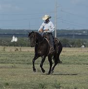 Image result for Cowboy Garfield