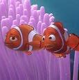 Image result for Disney Finding Nemo Characters