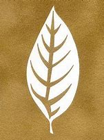 Image result for Leaf Stencil Art