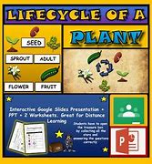 Image result for Science Worksheets On Earth Resource for Kg