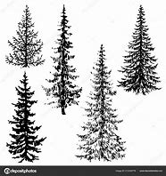 Image result for Evergreen Tree Silhouette