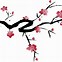 Image result for Cherry Blossom Branch Illustration