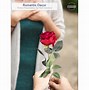 Image result for Single Stem Red Rose