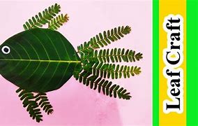 Image result for Leaf for Kids