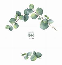 Image result for Eucalyptus Leaves Clip Art