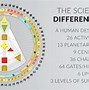 Image result for Neutrino Design Human Design