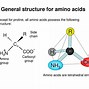 Image result for Archaea and Eukaryotes