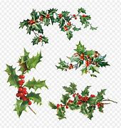 Image result for Holly Leaf Coloring Page