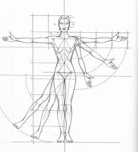 Image result for Human Figure Proportion Drawing Lesson