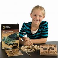 Image result for National Geographic Mega Fossil Dig Kit