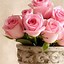 Image result for Pink Floral Wallpaper