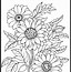 Image result for Coloring Picture of Leaf