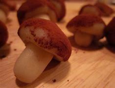 Image result for Marzipan Mushrooms