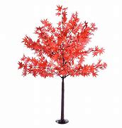 Image result for Green Lace Japanese Maple Tree