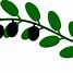 Image result for Olive Branch Graphic Clip Art