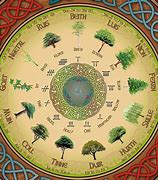 Image result for Wooden Family Tree Signs