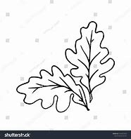 Image result for Oak Leaf Drawing Easy