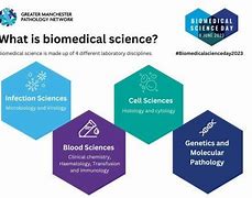 Image result for Biomedical Science Disciplines