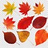 Image result for Fall Leaf Sketch