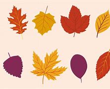 Image result for Fall Leaf Print