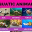 Image result for Sea Animals Activity