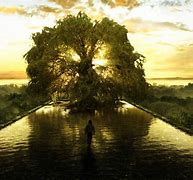 Image result for Life Tree with Hierarchy of Life